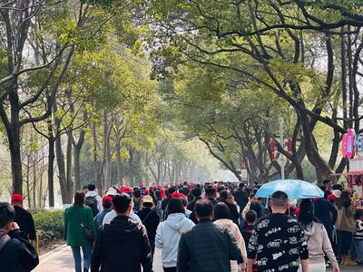 岳麓山、橘子洲景區大客流,景區倡導游客盡量"錯峰出游"