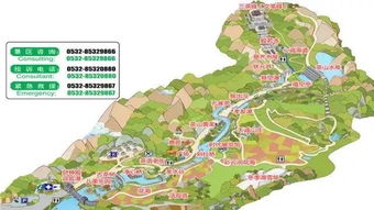 青島茶山景區(qū) 借力 旅游 打造生態(tài)養(yǎng)生目的地