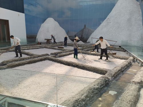 好客山東 百團山東行——濱州無棣站活動啟動，園區管理服務協同助力