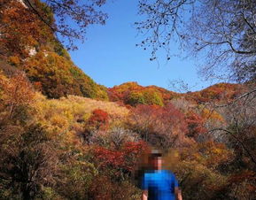 2019平山駝梁風景區游玩全攻略 門票價格、游覽路線、地址與服務詳解